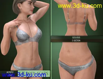 3D打印模型LIE Body Scars for Genesis 3 & 8 Female(s)的图片