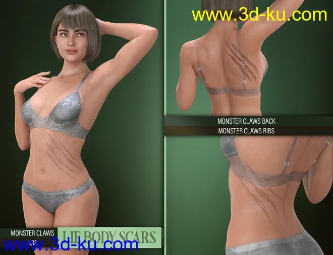 LIE Body Scars for Genesis 3 & 8 Female(s)模型的图片8