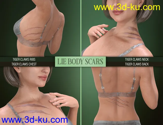 LIE Body Scars for Genesis 3 & 8 Female(s)模型的图片9