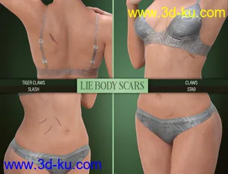 3D打印模型LIE Body Scars for Genesis 3 & 8 Female(s)的图片
