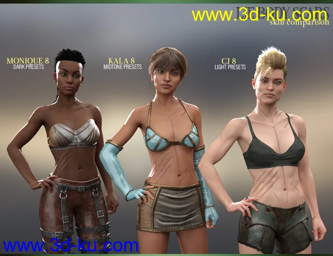 LIE Body Scars for Genesis 3 & 8 Female(s)模型的图片12