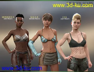 3D打印模型LIE Body Scars for Genesis 3 & 8 Female(s)的图片