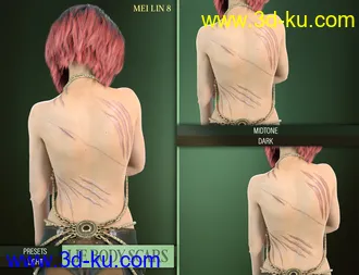 3D打印模型LIE Body Scars for Genesis 3 & 8 Female(s)的图片