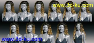3D打印模型Long Wet Hair with dForce for Genesis 8的图片