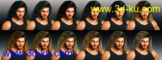 3D打印模型Long Wet Hair with dForce for Genesis 8的图片