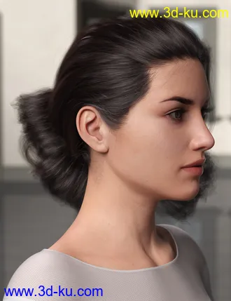 3D打印模型Low Updo Hair for Genesis 3 and 8 Female(s)的图片