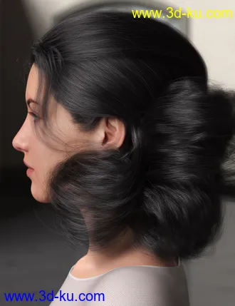 3D打印模型Low Updo Hair for Genesis 3 and 8 Female(s)的图片