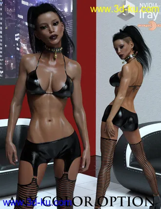3D打印模型LUST - Attention Outfit for Genesis 3 Females的图片