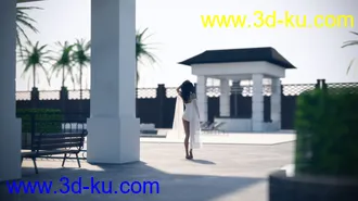 3D打印模型Luxury Pool House and Garden的图片