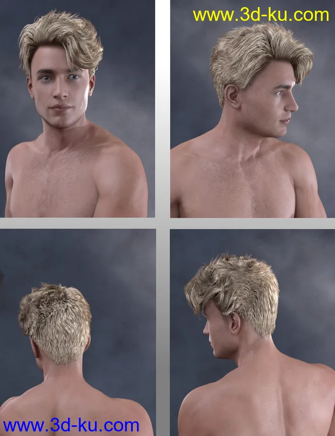 Magnus Hair for Genesis 3 and Genesis 8 Male(s)模型的图片3