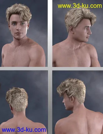 3D打印模型Magnus Hair for Genesis 3 and Genesis 8 Male(s)的图片