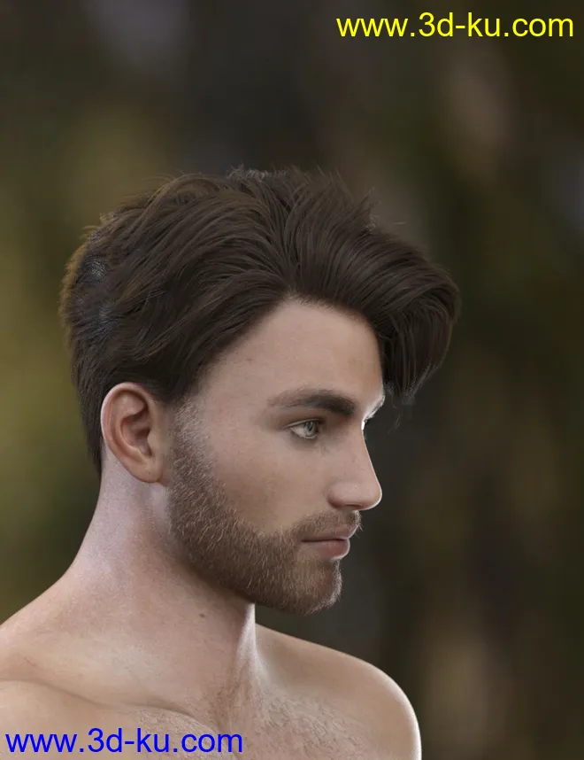 Magnus Hair for Genesis 3 and Genesis 8 Male(s)模型的图片8