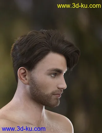 3D打印模型Magnus Hair for Genesis 3 and Genesis 8 Male(s)的图片
