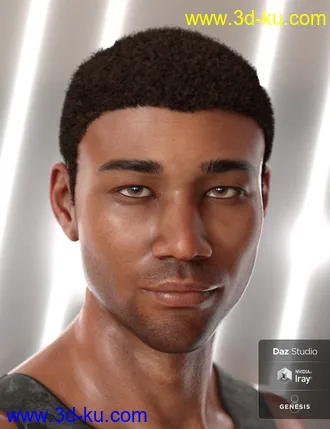 3D打印模型Malik Hair for Genesis 8 and Genesis 3 Male(s)的图片