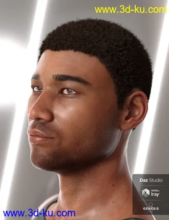 3D打印模型Malik Hair for Genesis 8 and Genesis 3 Male(s)的图片
