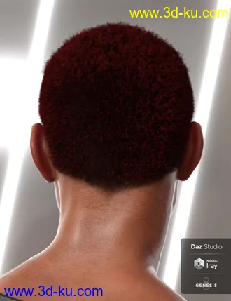 3D打印模型Malik Hair for Genesis 8 and Genesis 3 Male(s)的图片