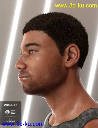 3D打印模型Malik Hair for Genesis 8 and Genesis 3 Male(s)的图片