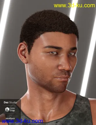 3D打印模型Malik Hair for Genesis 8 and Genesis 3 Male(s)的图片