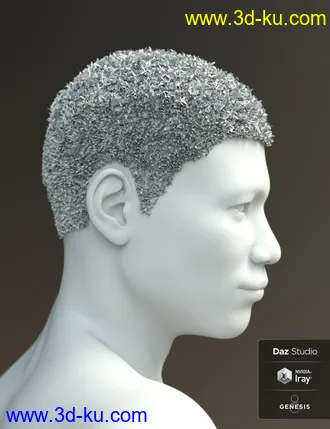 3D打印模型Malik Hair for Genesis 8 and Genesis 3 Male(s)的图片