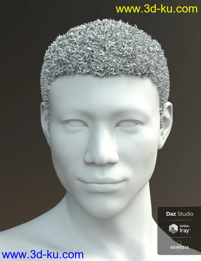 Malik Hair for Genesis 8 and Genesis 3 Male(s)模型的图片7