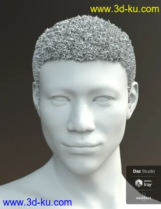 3D打印模型Malik Hair for Genesis 8 and Genesis 3 Male(s)的图片