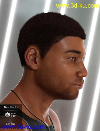 3D打印模型Malik Hair for Genesis 8 and Genesis 3 Male(s)的图片