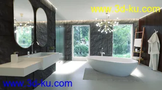 3D打印模型Modern Euro Bathroom的图片