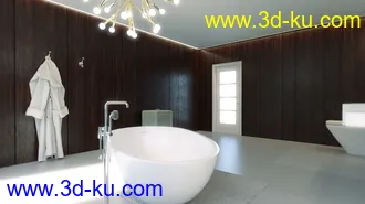 3D打印模型Modern Euro Bathroom的图片
