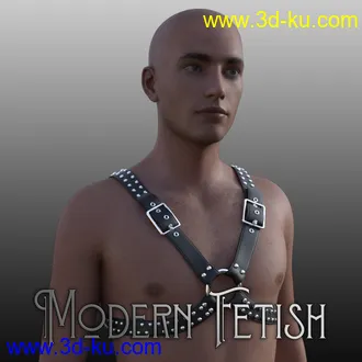 3D打印模型Modern Fetish 26的图片