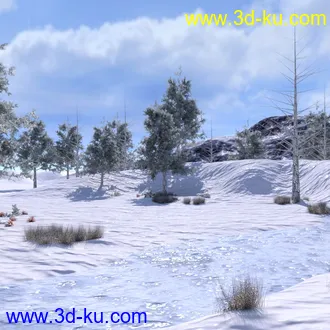 3D打印模型My Cold Place的图片