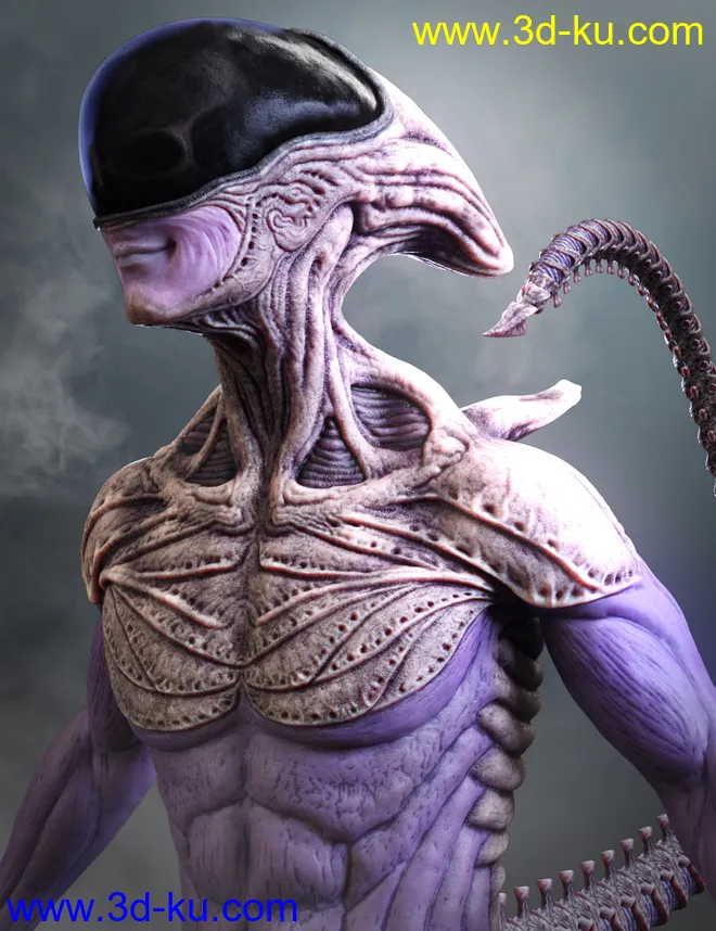 Mysterious Alien HD for Genesis 8 Male模型的图片1