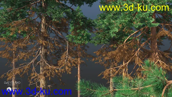Nature Trees Pack 4模型的图片2