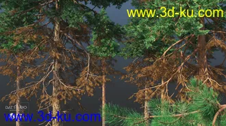 3D打印模型Nature Trees Pack 4的图片
