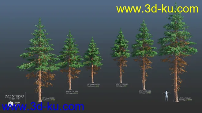 Nature Trees Pack 4模型的图片7