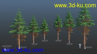 3D打印模型Nature Trees Pack 4的图片