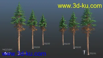 3D打印模型Nature Trees Pack 4的图片