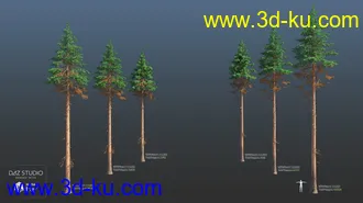 3D打印模型Nature Trees Pack 4的图片