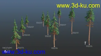3D打印模型Nature Trees Pack 4的图片