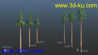 3D打印模型Nature Trees Pack 4的图片