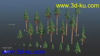 3D打印模型Nature Trees Pack 4的图片