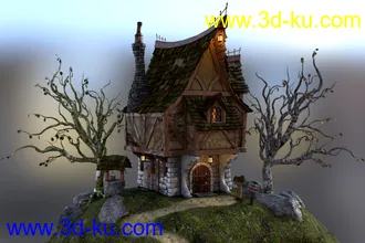 3D打印模型Old Crone's Home的图片
