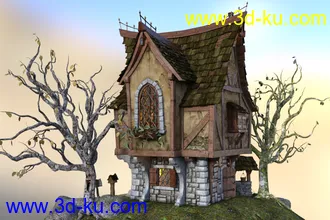 3D打印模型Old Crone's Home的图片