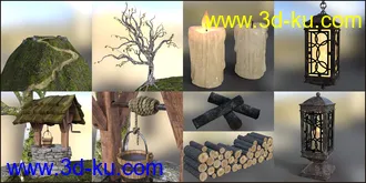 3D打印模型Old Crone's Home的图片