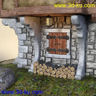 3D打印模型Old Crone's Home的图片