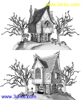 3D打印模型Old Crone's Home的图片