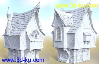 3D打印模型Old Crone's Home的图片