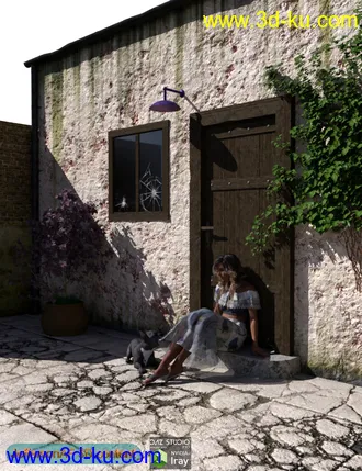 3D打印模型Old House的图片