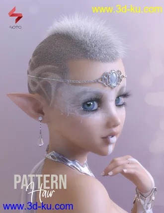 3D打印模型Pattern Hair for Genesis 3 and 8的图片
