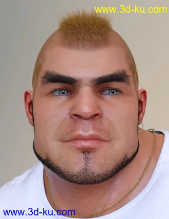 3D打印模型Pattern Hair for Genesis 3 and 8的图片