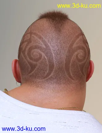 3D打印模型Pattern Hair for Genesis 3 and 8的图片